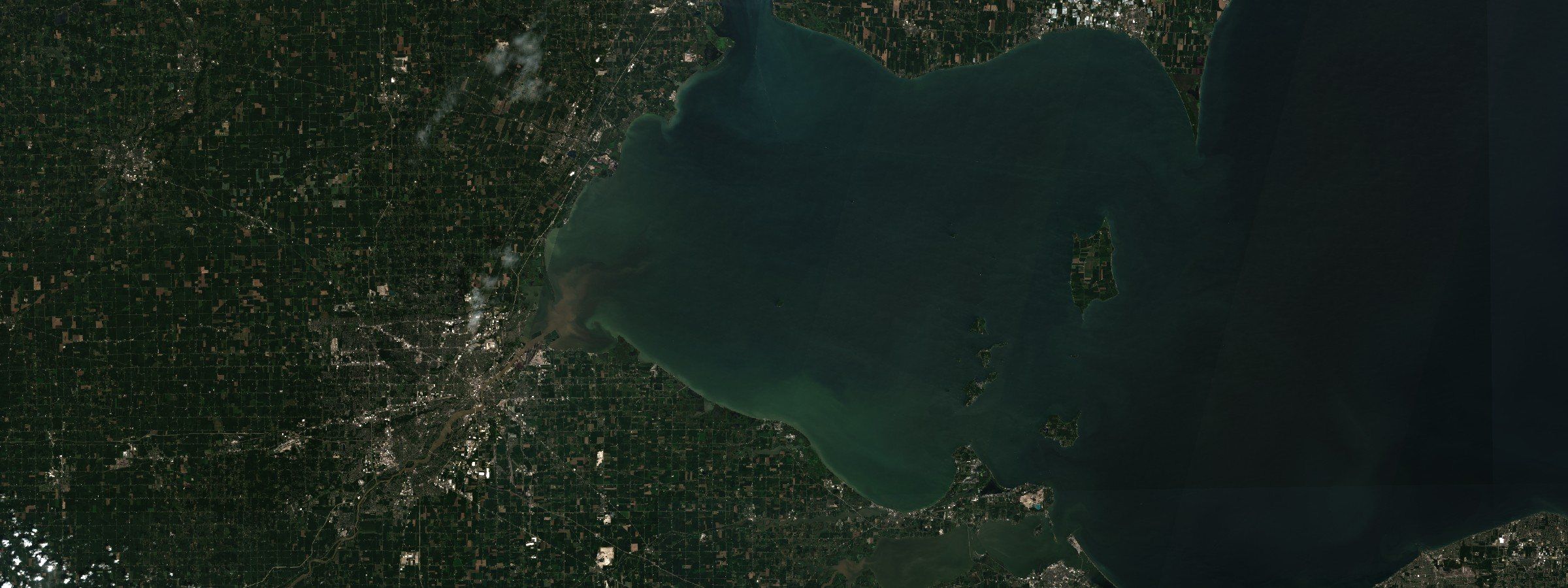 Sentinel-2 L2A surface reflectance, bands B04/B03/B02. Western Lake Erie and the mouth of the Maumee River, 21 August 2026. Colour in the water is biomass, which is what the severity index counts. Toxin is not visible from orbit, and that gap is the piece.