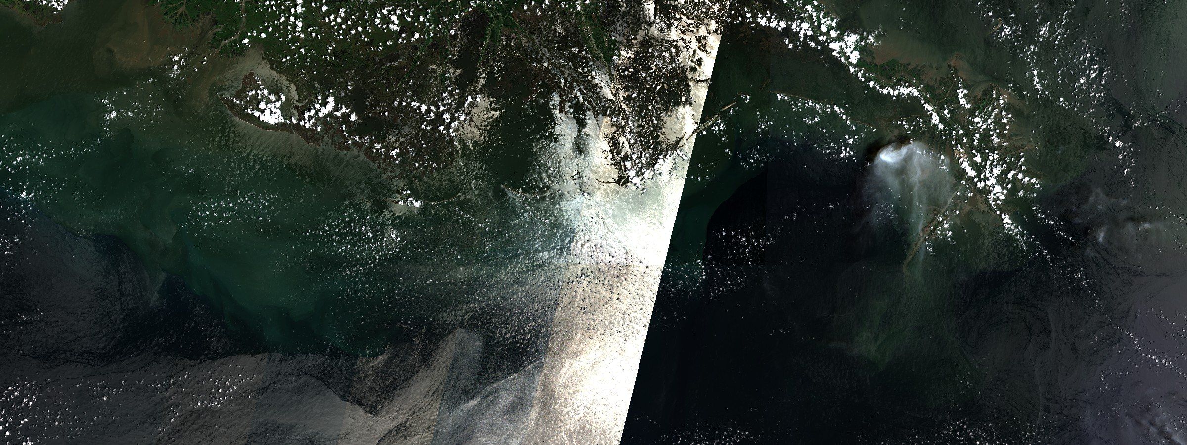 Sentinel-2 L2A surface reflectance, bands B04/B03/B02. The Louisiana shelf and the Mississippi River plume, 25 July 2026. The hypoxic zone sits on the bottom and is measured from a ship. What is visible is the river plume at the surface, not the dead zone.