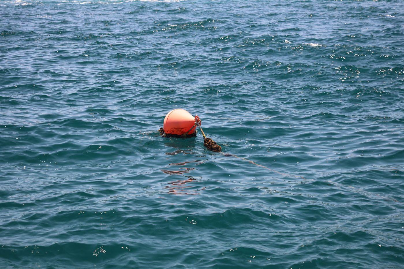 An orange monitoring buoy riding open water offshore